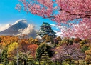 PUZ.2000 CASTILLO OSAKA, JAPON