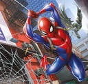 PUZ.3x48 SPIDERMAN