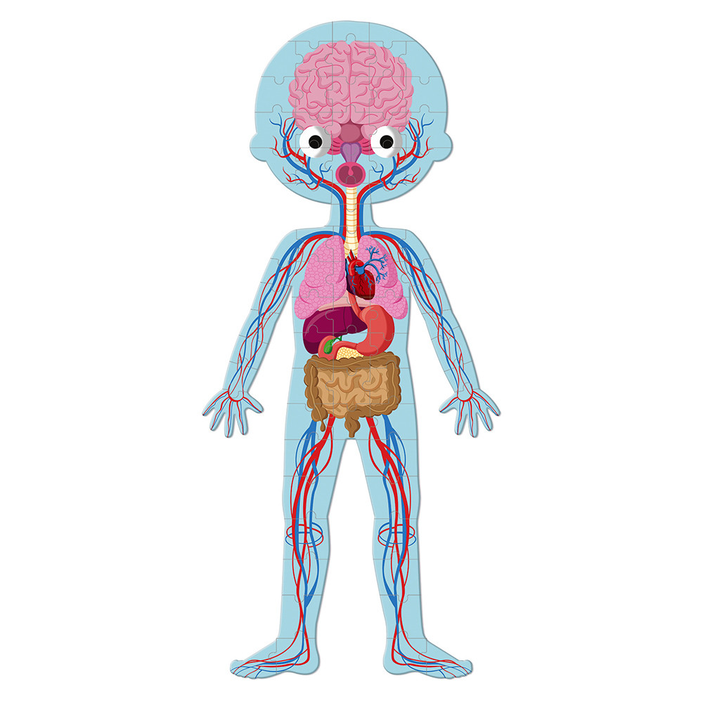 PUZZLE EDUC. CUERPO HUMANO