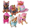 REAL LITTLES MINI MASCOTAS C.C.