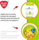 RODILLO ACTIVIDADES