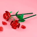 ROSAS