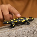 SALAMANDRA