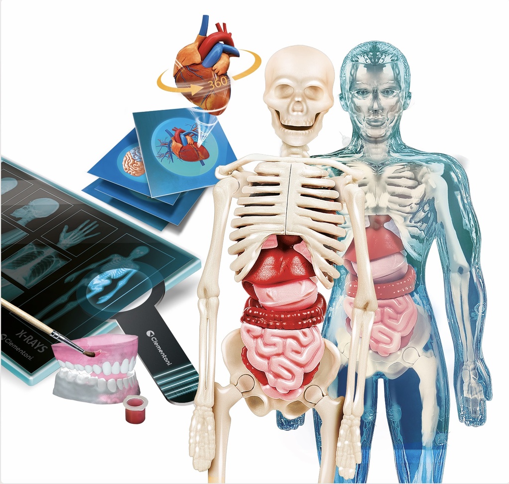SUPERANATOMIA