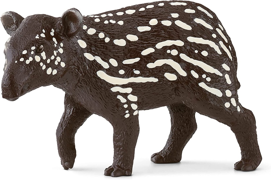 TAPIR MACHO