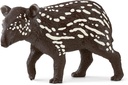 TAPIR MACHO