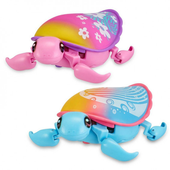 TORTUGAS MOLONAS SURT.
