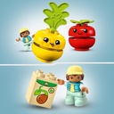 TRACTOR DE FRUTAS Y VERDURAS