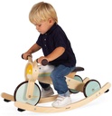 TRICICLO BALANCIN