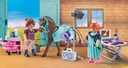 VETERINARIO DE CABALLOS