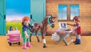 VETERINARIO DE CABALLOS