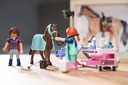 VETERINARIO DE CABALLOS