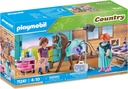 VETERINARIO DE CABALLOS