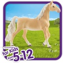 YEGUA SADDLEBRED AMERICANA