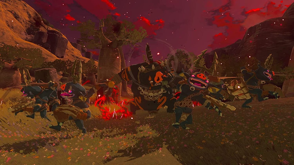 ZELDA TEARS OF KINGDOM NSW