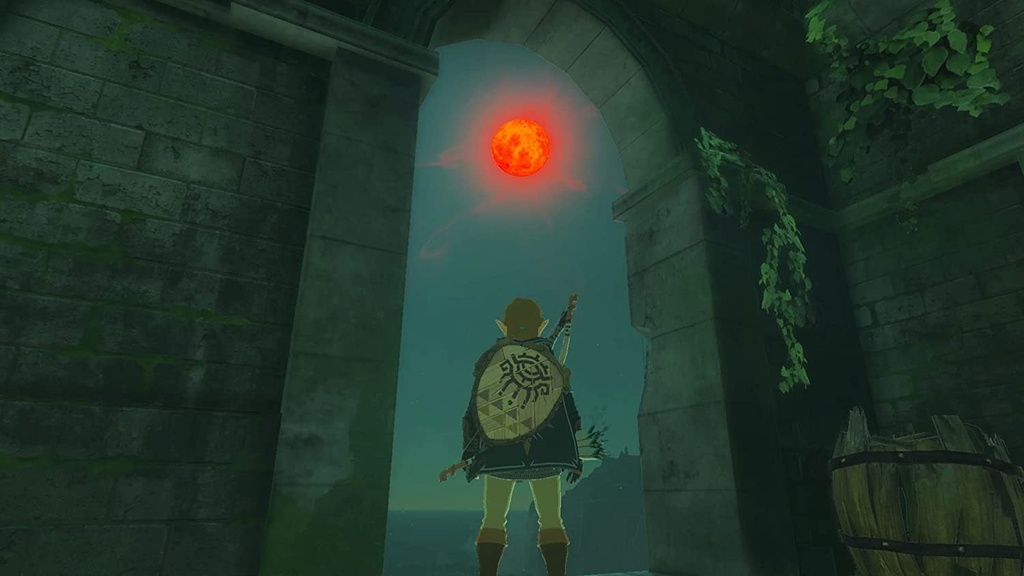 ZELDA TEARS OF KINGDOM NSW