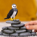 AGUILA HARPIA