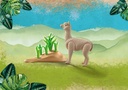 ALPACA