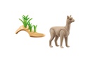 ALPACA