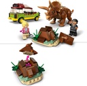 ANALISIS DEL TRICERATOPS