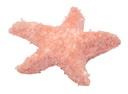 ANIMALES DE CRISTALES