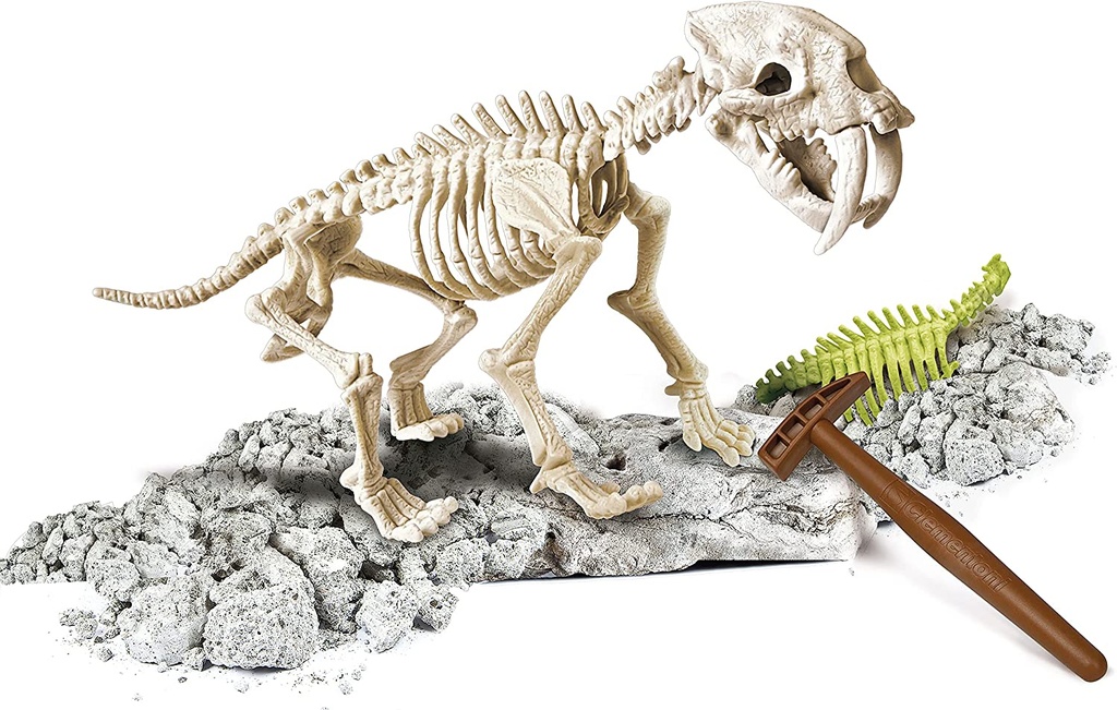 ARQUEOJUGANDO SMILODON FLUOR.