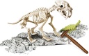 ARQUEOJUGANDO SMILODON FLUOR.