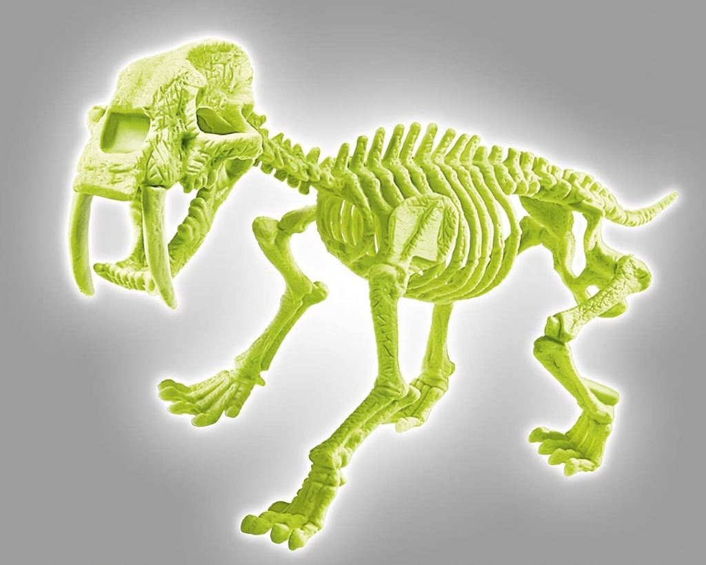 ARQUEOJUGANDO SMILODON FLUOR.