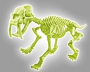 ARQUEOJUGANDO SMILODON FLUOR.