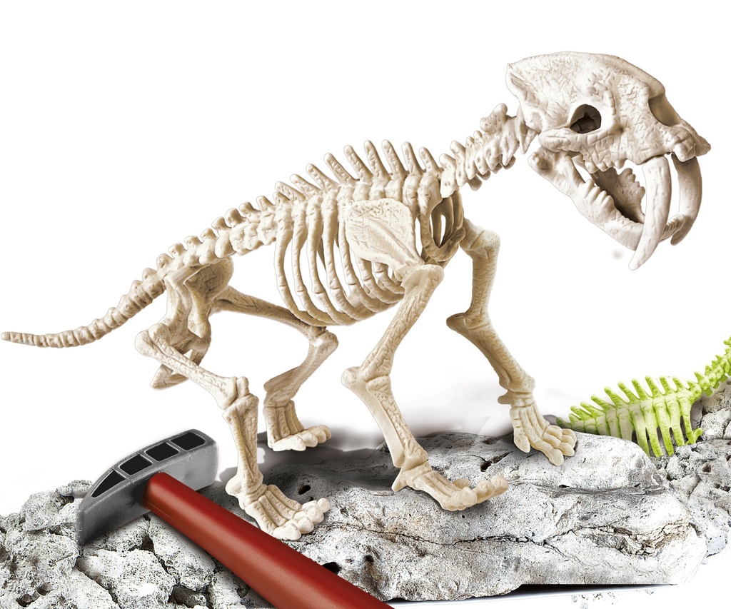 ARQUEOJUGANDO SMILODON FLUOR.