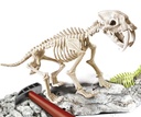 ARQUEOJUGANDO SMILODON FLUOR.