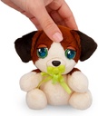 BABY PAWS MINI BEAGLE