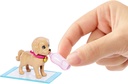 BARBIE ADOPTA PERRITOS