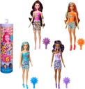 BARBIE COLOR REVEAL ARCOIRIS