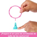 BARBIE STACIE AL RESC.PARQUE C.