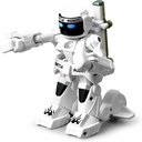 BATTLE ROBOTS
