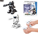 BATTLE ROBOTS
