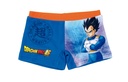 BAÑADOR-BOXER DRAGON BALL 2a6