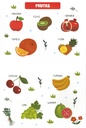 APRENDO PALABRAS. FRUTAS Y VERDURAS