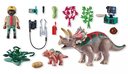 FAMILIA DE TRICERATOPS