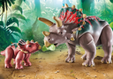 FAMILIA DE TRICERATOPS