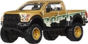 H.W. FORD F-150 RAPTOR