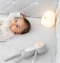 LUZ DE COMPAÑIA POLARIS