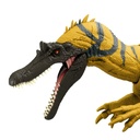 J.W. CERATOSUCHOPS RUGIDO SALV.