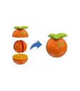 FRUTAS MONTA Y APRENDE