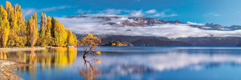 PUZ.1000 WANAKA'S GOLDEN REF.