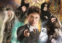PUZ. 500 HARRY POTTER COMPACT