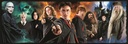 PUZ.1000 HARRY POTTER PANOR.