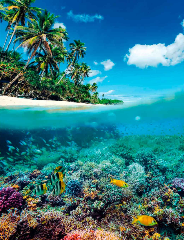 PUZ.1000 PARAISO DE VERANO