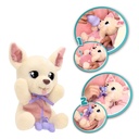 BABY PAWS YUMMY-CHIHUAHUA